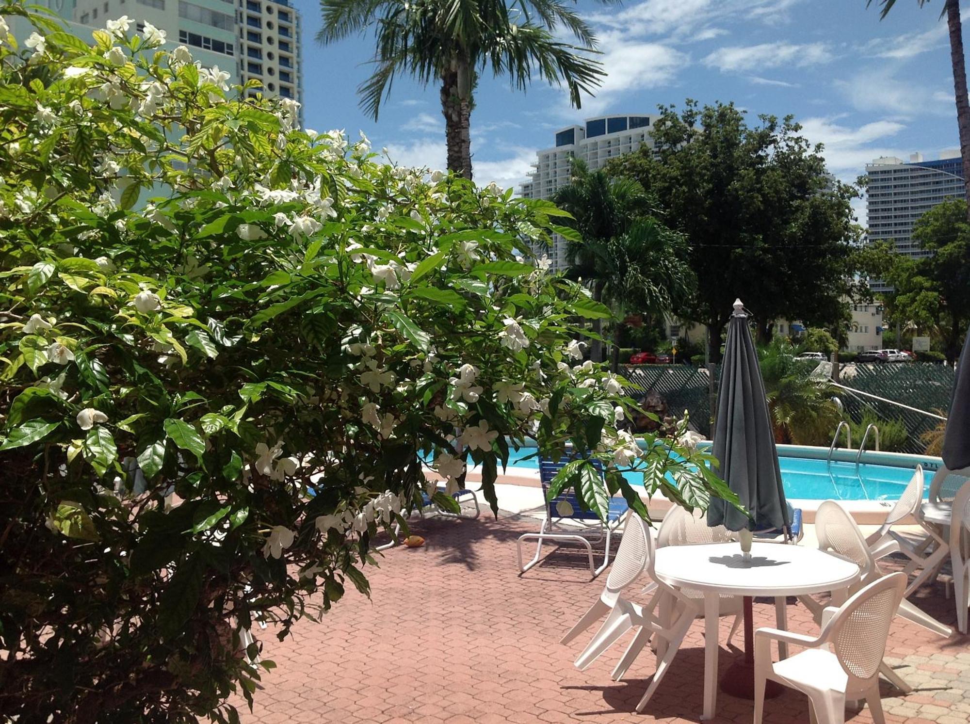 Birch Patio Motel Fort Lauderdale Exterior foto