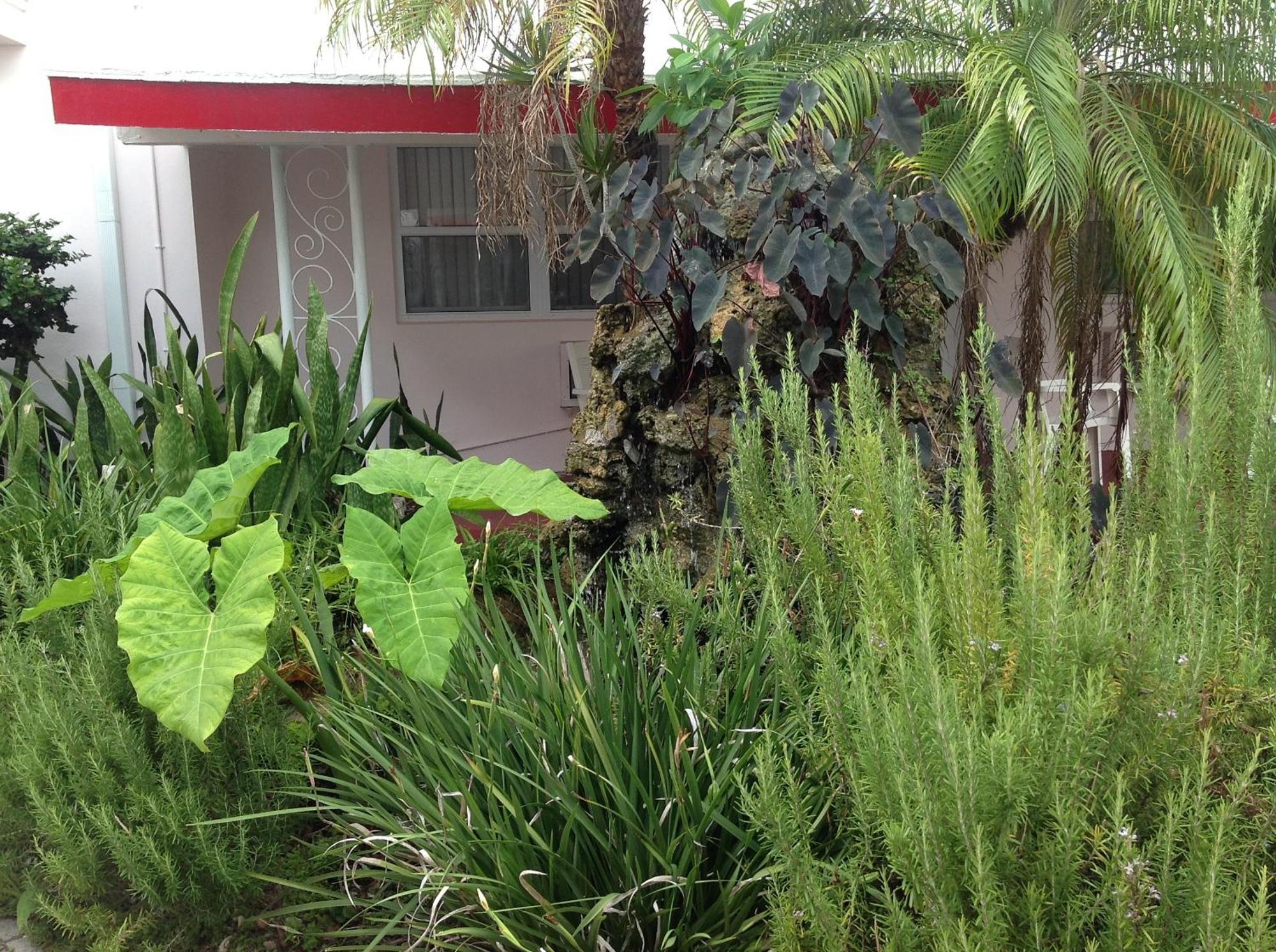 Birch Patio Motel Fort Lauderdale Exterior foto